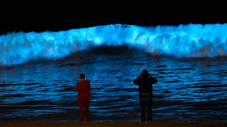 The science behind bioluminescent waves – Marine Madness